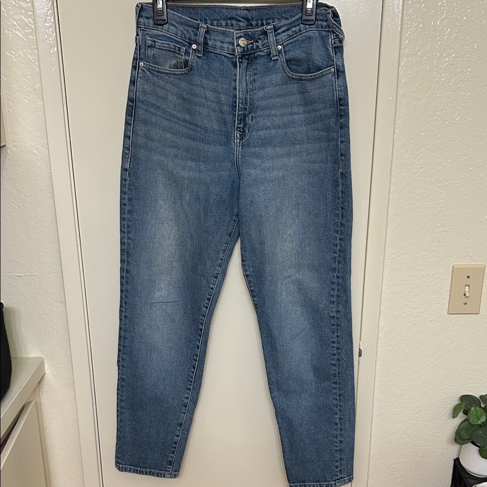 True Religion Women's High Rise Blue Jeans